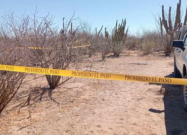 Colectivos localizan 11 nuevas fosas clandestinas en Sinaloa; Fiscalía inicia trabajos de excavación