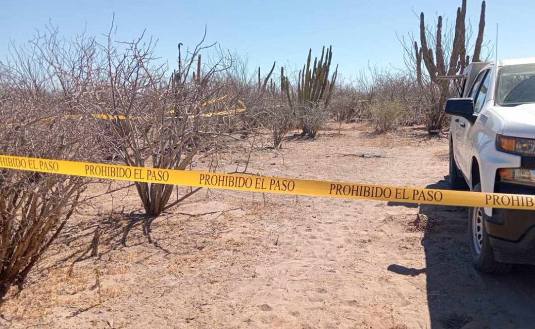 El año pasado, los colectivos en BCS localizaron 38 fosas clandestinas con un total de 50 osamentas. (09/02/2025). Foto: Especial/El Universal