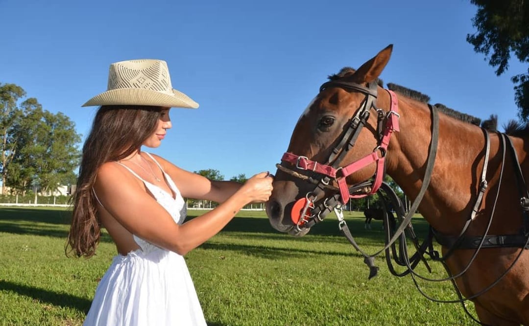 Foto: Instagram @lasureniatalabarteria