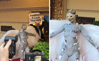 PETA aterriza en la alfombra roja de la Met Gala; vestuario de plumas expone crueldad contra aves