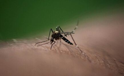 Guerrero confirma mil 277 casos de Chikungunya