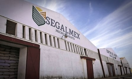 Reconoce titular de Segalmex observaciones por 9.5 mmdp; se han recuperado 963.9 millones, señala