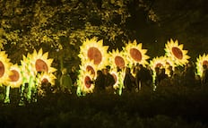 Glow Fest: el espectáculo de luz que llegará a Puebla