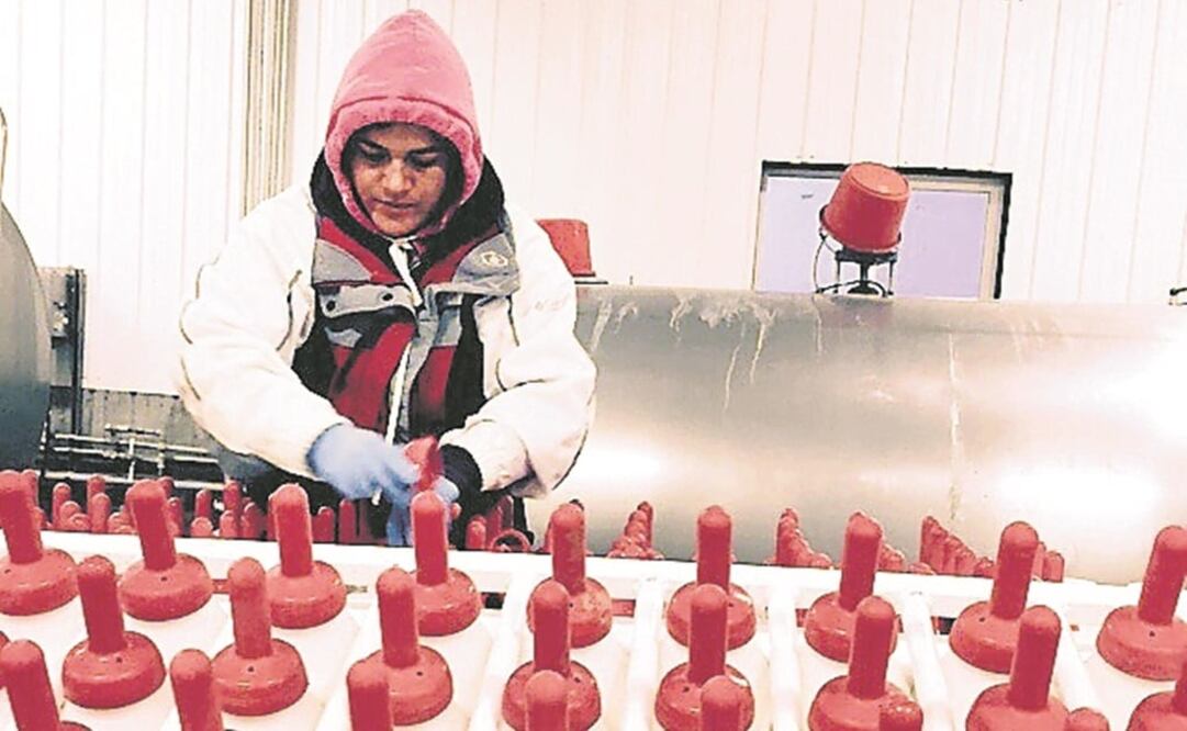 A los mexicanos los obligaban a trabajar de 9 a 14 horas al día, seis días a la semana, en condiciones excesivas e insalubres. (CORTESÍA)