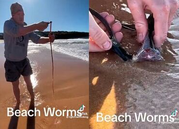 ¿Gusanos en la playa? Hombre encuentra gusano gigante bajo la arena y se hace viral