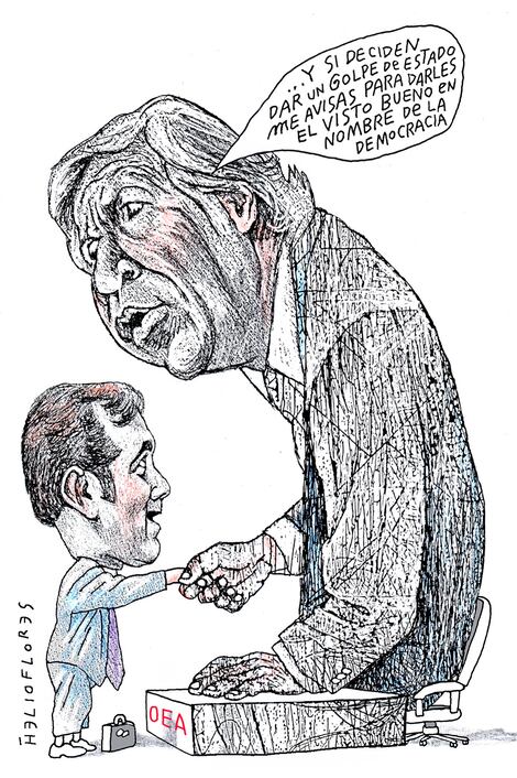 Cartón de HELIOFLORES
