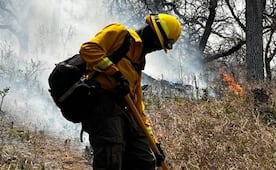 Controlan incendio forestal en Arivechi; fuego arrasó más de 2 mil hectáreas de bosque en Sonora