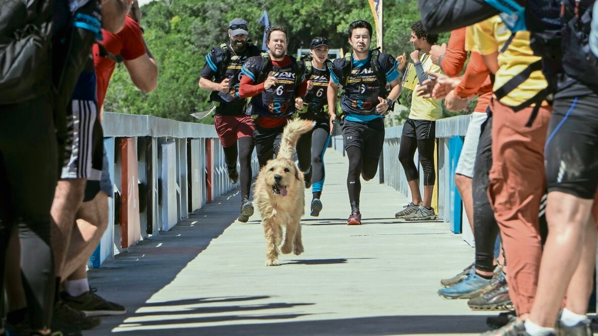 La película sigue la hazaña de Mikael Lindnord en la selva ecuatoriana; ahí encuentra a un perro callejero mal herido, pero de gran corazón. Foto: de Carlos Rodriguez/Lionsgate