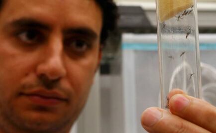 Australia confirma caso de zika en embarazada