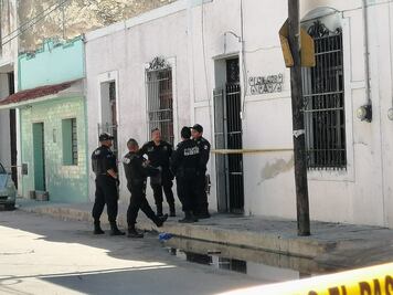 Decomisan más de tres toneladas de pepino de mar en Yucatán