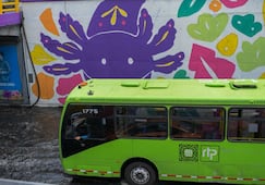 Sobse lanza licitación para pinta de murales en vías primarias de la CDMX; mejorarán imagen urbana