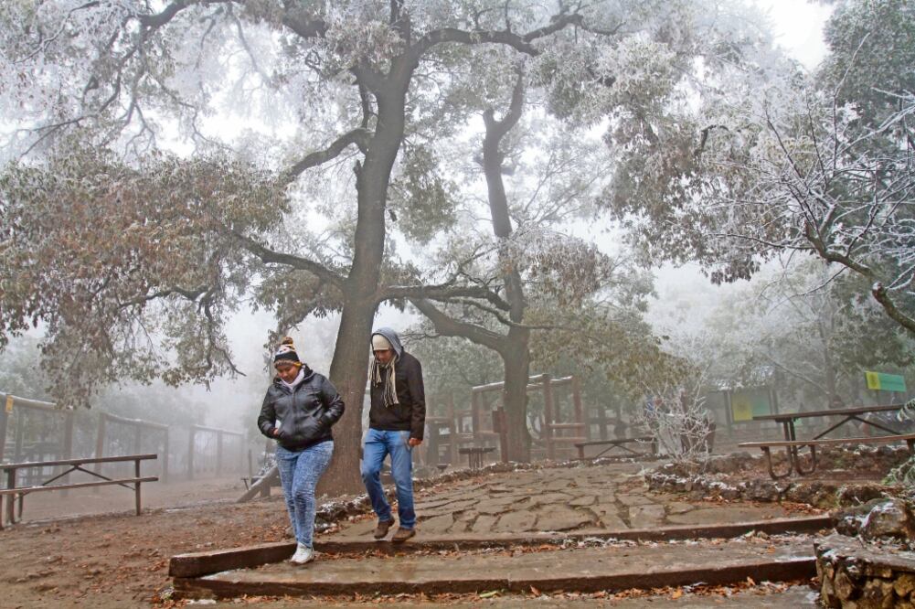 El Frente Frío Número 23 que llegó a gran parte del país provocó temperaturas por abajo de los 0 grados en Nuevo León. El parque ecológico de reserva natural Chipinque es un lugar para visitar por las altas concentraciones de hielo. (CUARTOSCURO)