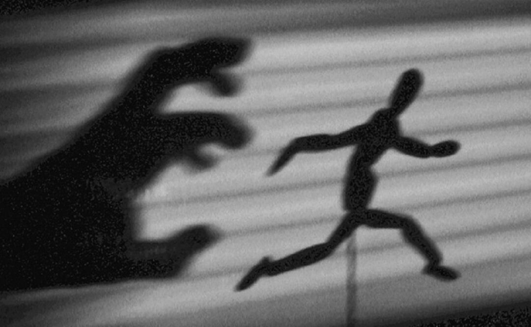 Adaptaciones sociales derivadas del miedo frente a la crisis de seguridad 