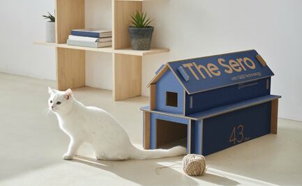 Estas cajas de TV pueden ser la nueva casa de tu gatito