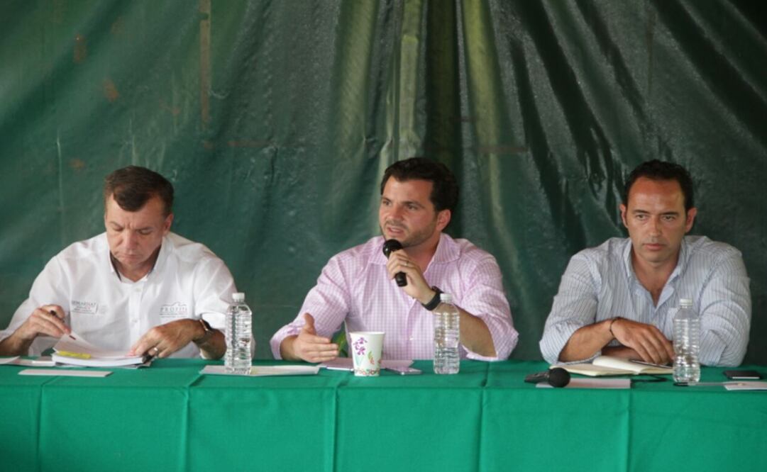 Reforzarán vigilancia en Valle de Bravo por tala clandestina 