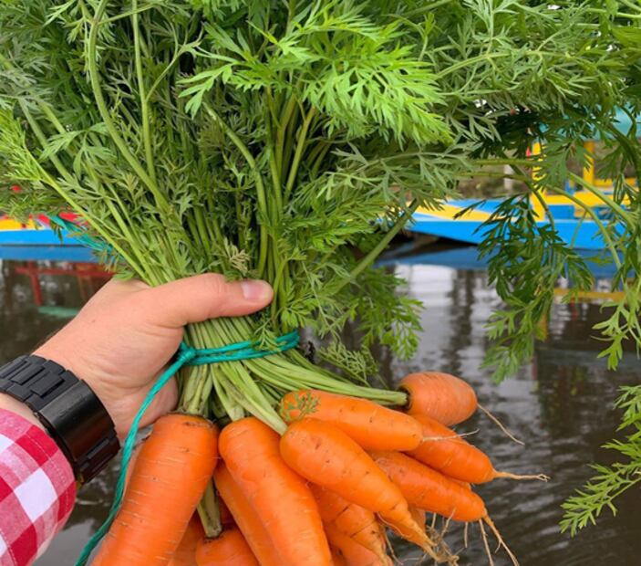 Alimentos que pueden enviarte a domicilio los chinamperos de Xochimilco