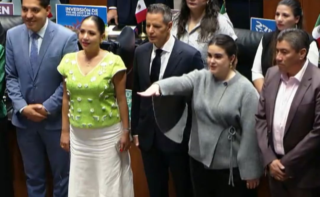 Por unanimidad, Senado ratifica a Cristina Planter como subsecretaria para América del Norte de la SRE. Foto: Especial