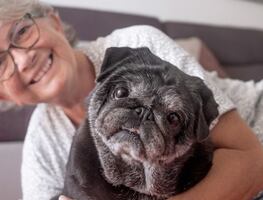 ¿Cuándo es el momento de sacrificar a un perro anciano?; expertos lo explican