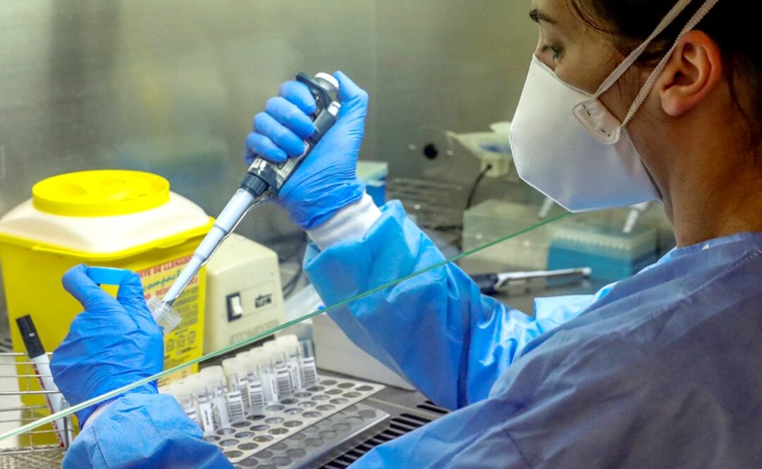 The UNAM will analyze samples to detect COVID-19 - Photo: File photo/EL UNIVERSAL