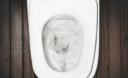 UNAM graduates create water-saving toilet