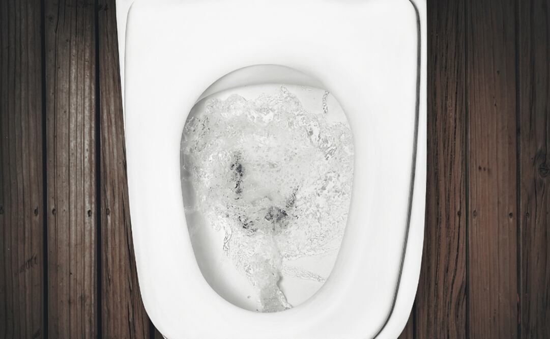 Vicente Borja, a graduate from UNAM’s Faculty of Engineering, presented a sustainable ecological toilet, conceived by a multidisciplinary team - Photo: File Photo/EL UNIVERSAL