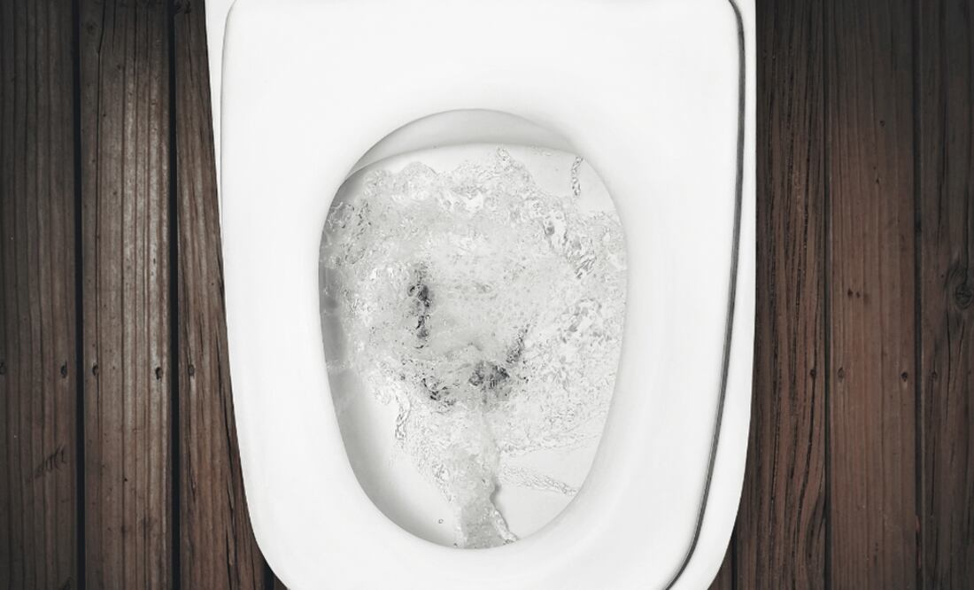 Vicente Borja, a graduate from UNAM’s Faculty of Engineering, presented a sustainable ecological toilet, conceived by a multidisciplinary team - Photo: File Photo/EL UNIVERSAL