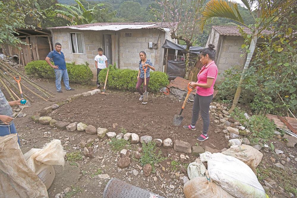 Algunas de las labores consisten en construir huertos de traspatio y sembrar semillas. FOTOS: ESPECIALES