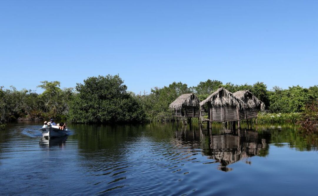 Parque Nacional La Tovara. (Foto: Valente Rosas / El Universal)
