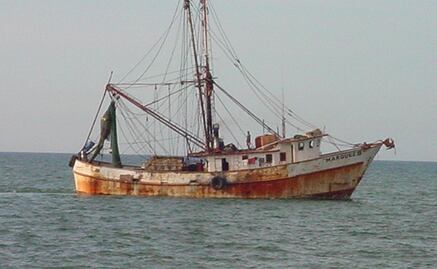 ​Urgen expertos a atender salud de los mares