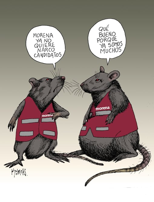 Cupo limitado