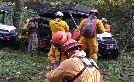 Registran pérdidas de 32 mil hectáreas de vegetación en NL por incendios