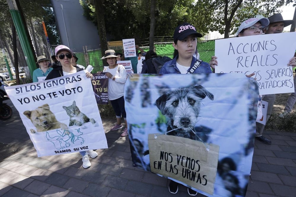 Activistas protestaron en el Palacio de Gobierno un alto al maltrato animal en el Edomex. Foto: Jorge Alvarado