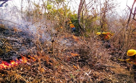 Tras 30 días logran apagar incendio en Los Chimalapas, Oaxaca 