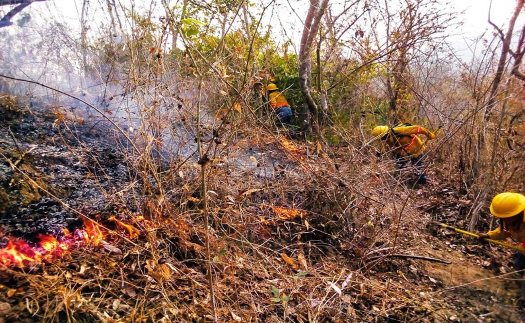 Para apagar el fuego, los combatientes laboraron por vía terrestre y aérea. Foto: Archivo / EL UNIVERSAL