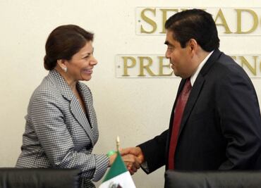 Reprueba observadora de OEA violencia de la CNTE