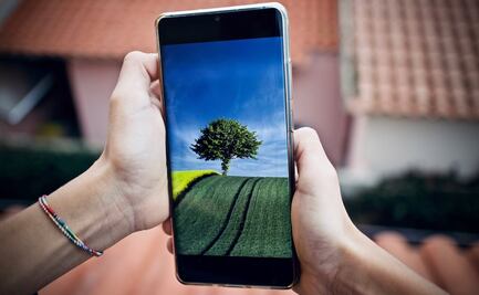 Convierte tu viejo celular en un árbol