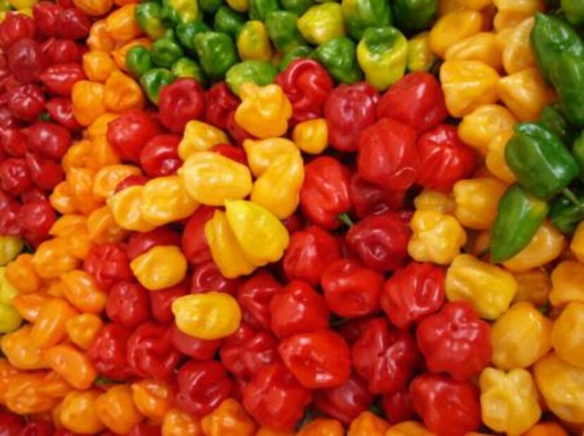 ¿Conoces las 16 cosas que sólo pueden producirse en México?