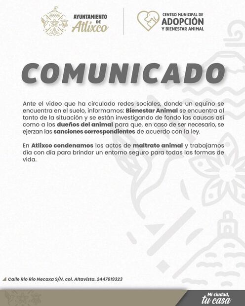 Foto: Facebook Ayuntamiento de Atlixco