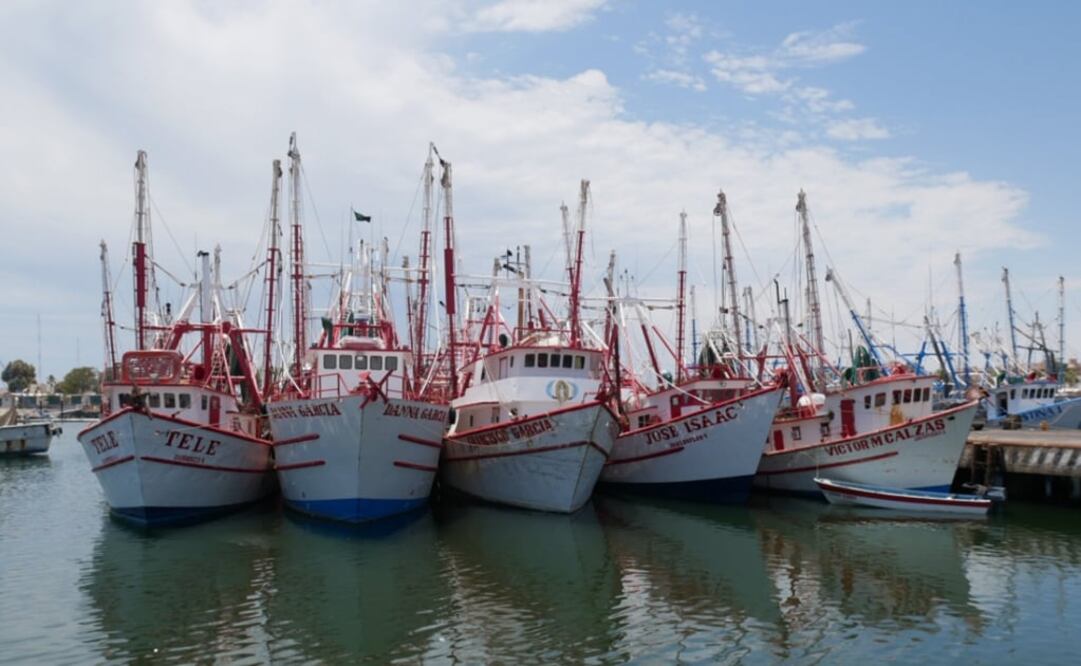 Fishing vessels - Photo: @dataMares
