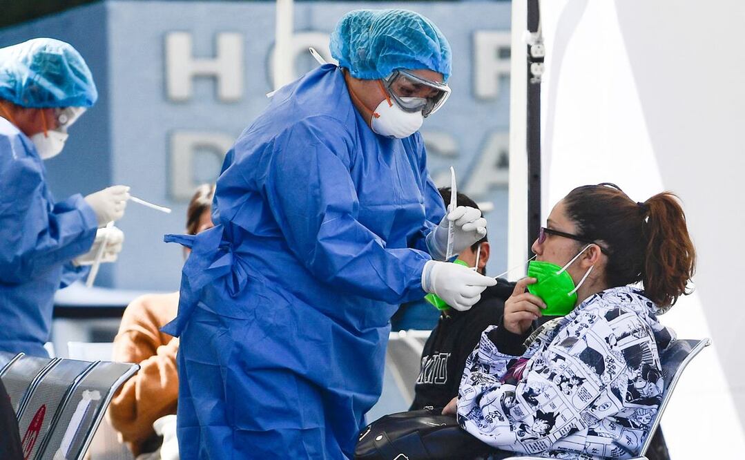 Foto: Pedro PARDO/ AFP