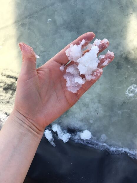 La sal de Cuyutlán, Colima, una de las más cotizadas del mundo