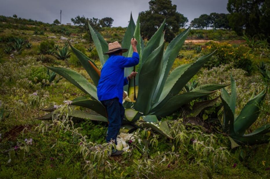 Lánzate a vivir aventuras y apoya a comunidades indígenas al mismo tiempo