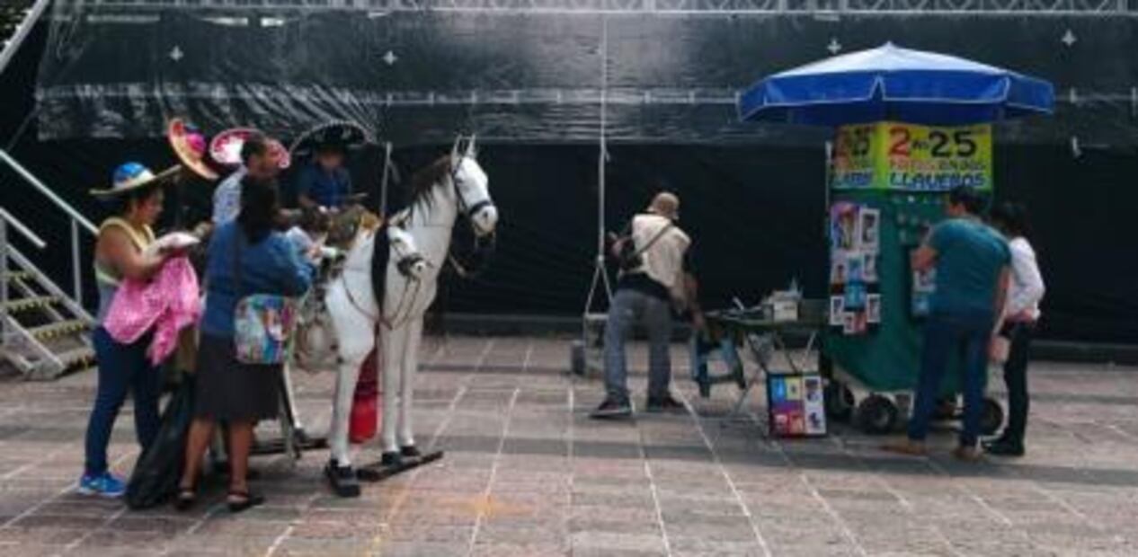Llevan 50 años de fotografiar a los mismos caballos