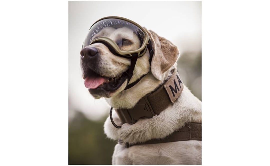 Archivo / EL UNIVERSAL