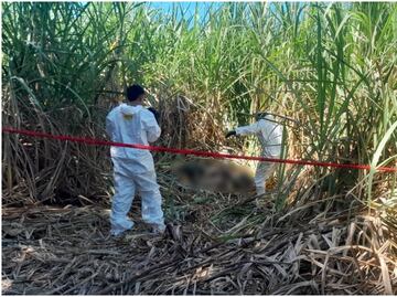 Hallan muertos a 3 hombres y una mujer en matorrales cerca de carretera en Chiapas; se desconoce su identidad