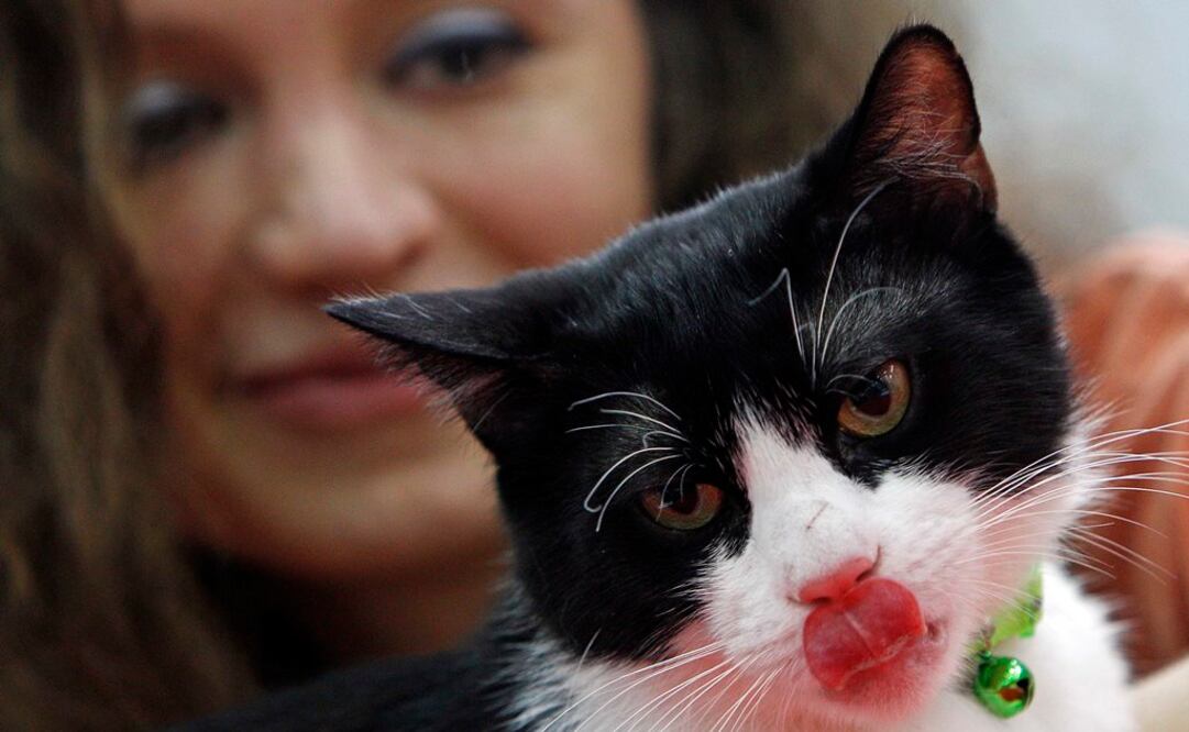 Foto: Archivo. EL UNIVERSAL