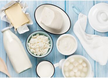 ¿Son necesarios los lácteos?