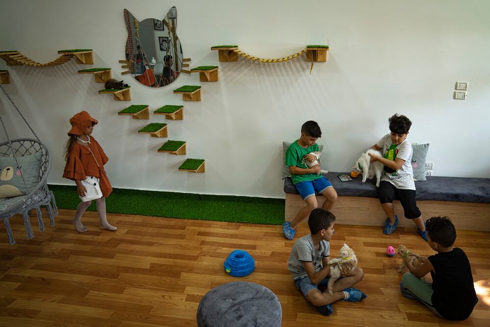 Los niños palestinos disfrutan de la compañía de los gatos el día de la inauguración de Meow Cafe en la ciudad de Gaza. Foto: Fatima Shbair. AP