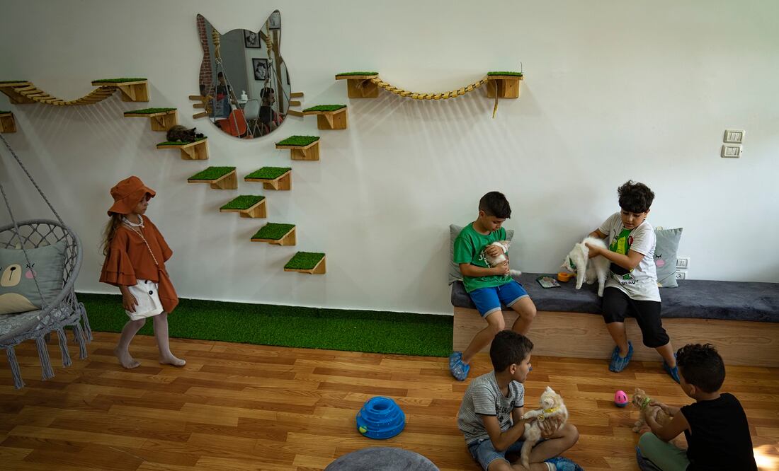 Los niños palestinos disfrutan de la compañía de los gatos el día de la inauguración de Meow Cafe en la ciudad de Gaza. Foto: Fatima Shbair. AP