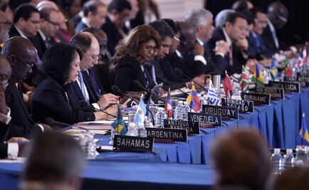 Presentan proyecto en la OEA para suspender a Venezuela